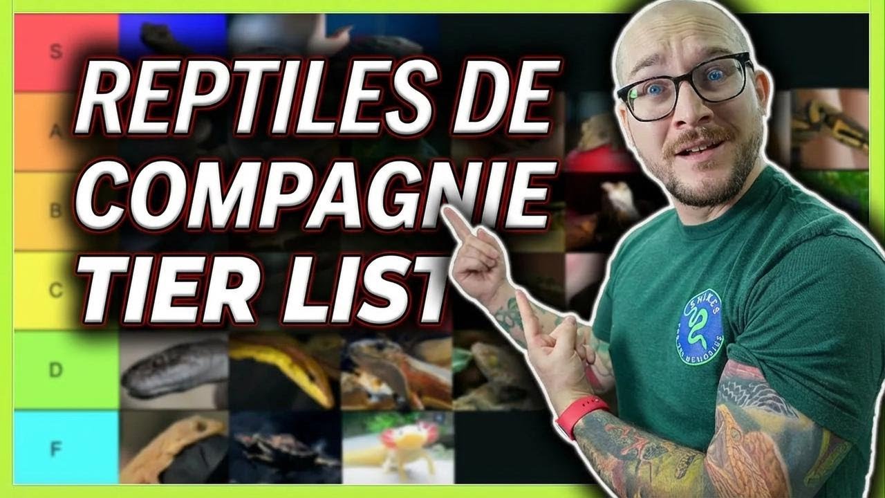 Le classement ultime des reptiles de compagnie : du meilleur au pire !