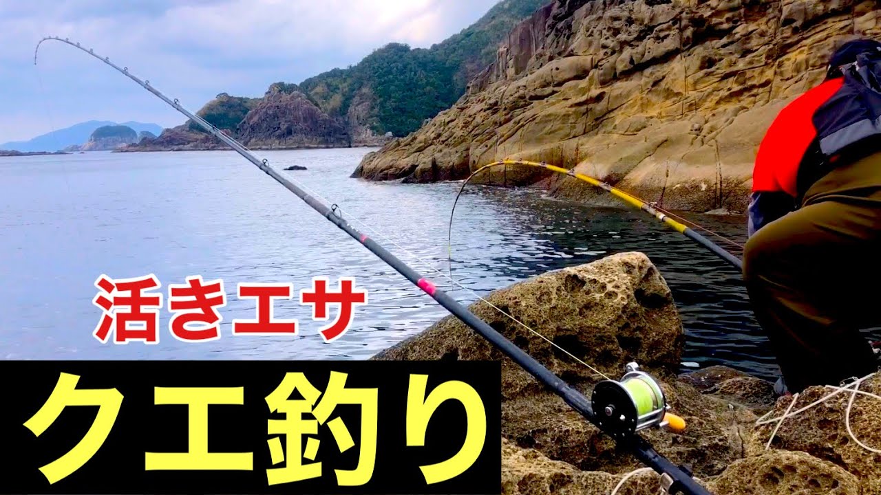 活き餌【クエ釣り】五島列島椛島‼︎フカセで現地調達‼︎