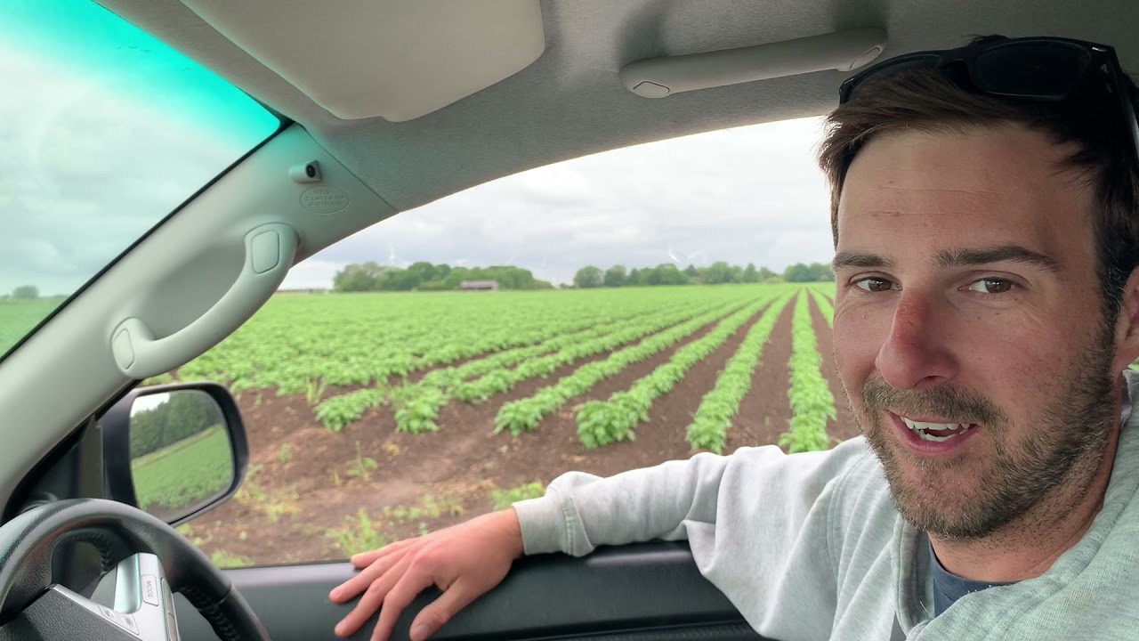 #CelebrateTheFens day with a drive around the #fens with farmer luke! 🚜🌾