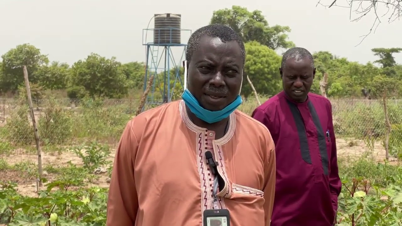 REPORTAGE: Renforcement des capacités agroécologiques des populations du Royaume de Mlomp Kassa