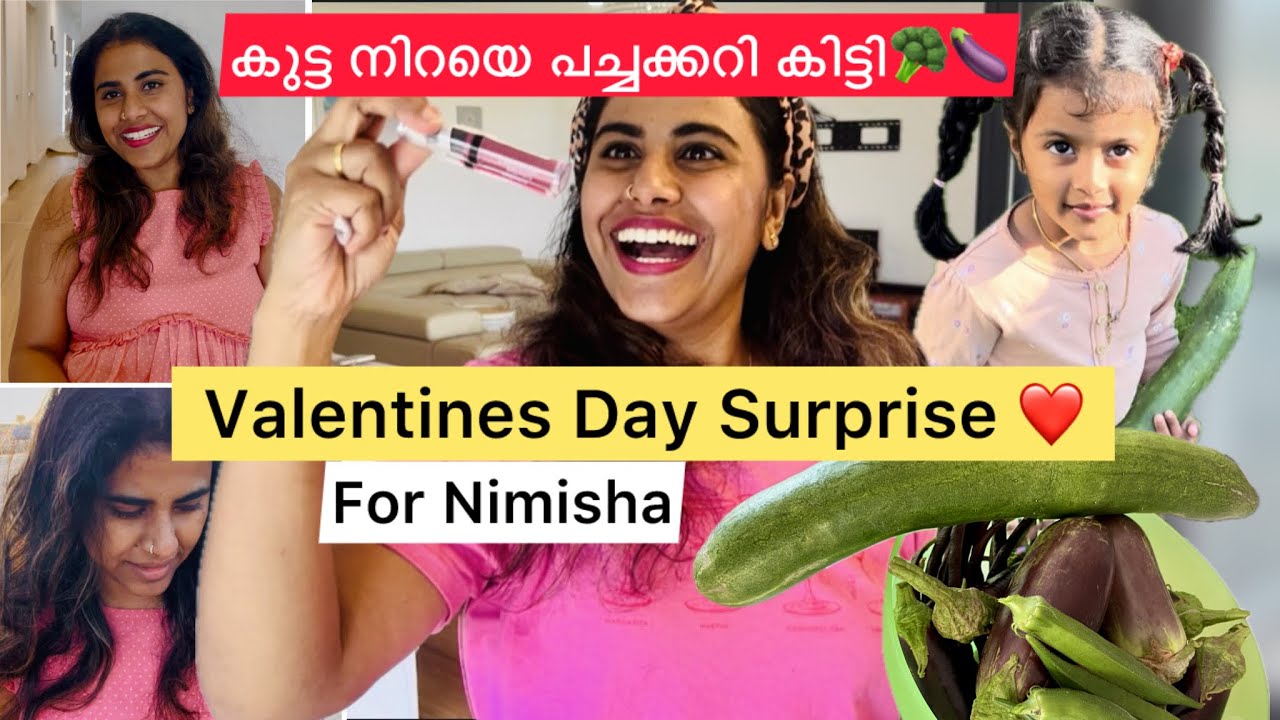 ഇന്നത്തെ ഞങ്ങളുടെ വിളവെടുപ്പ് കണ്ടോ??🍅🥬🥰|Day in our life❤️🛍️ #trendingnow #familyvlog #familytime