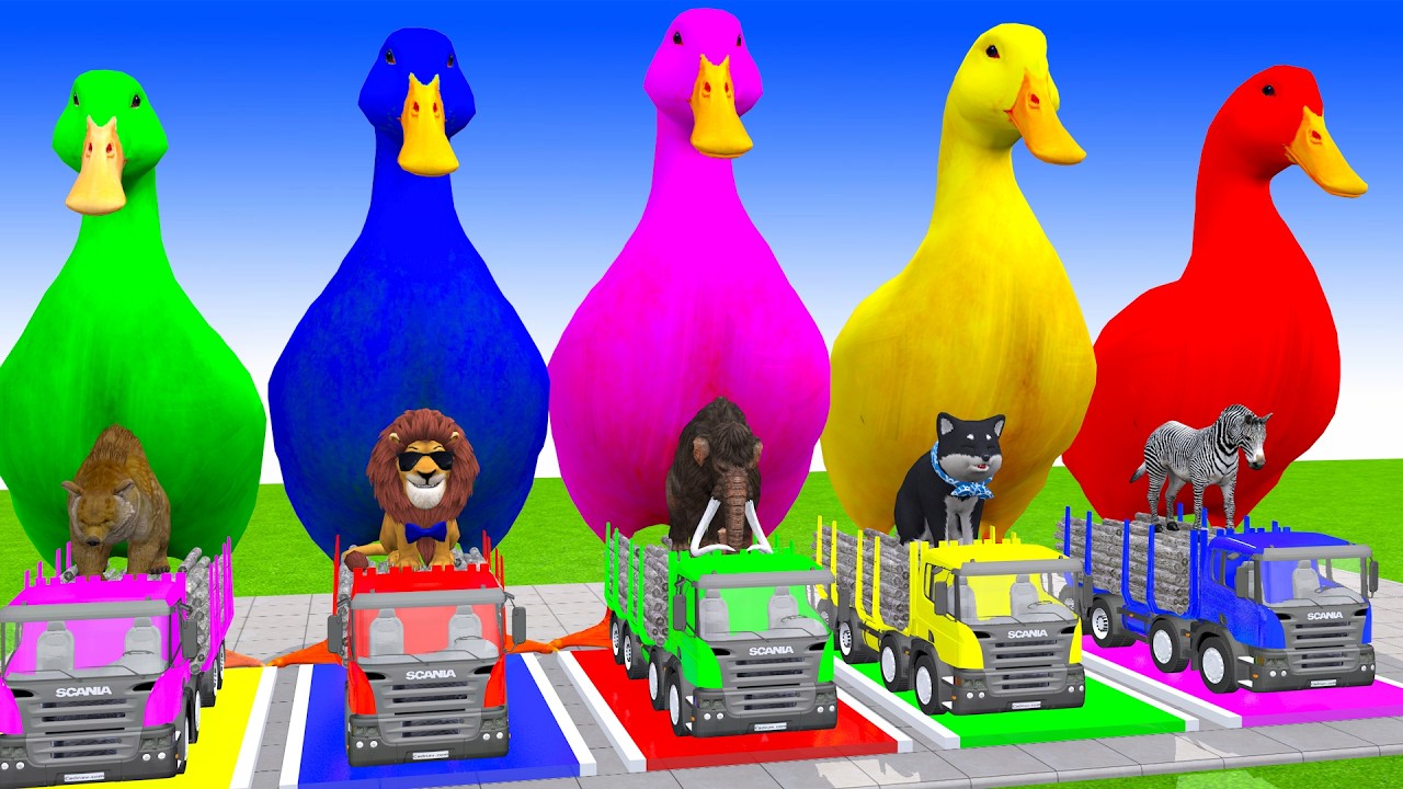 Long Slide Game With Cow Elephant Gorilla Hippopotamus Tiger 3d Animal Game Funny 3d Animals