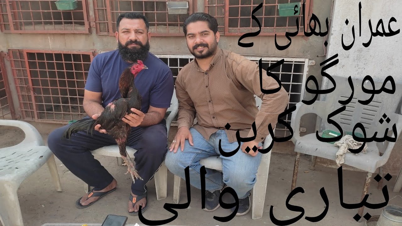 Ustad Imran bhai mandi waly walati shoq krain 😱😱 Sabar Ali Aseel 222..