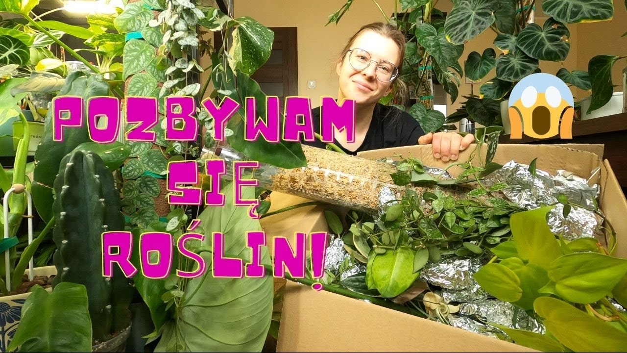 Pozbywam się nadmiaru roślin 🌱 Ulga i porządek