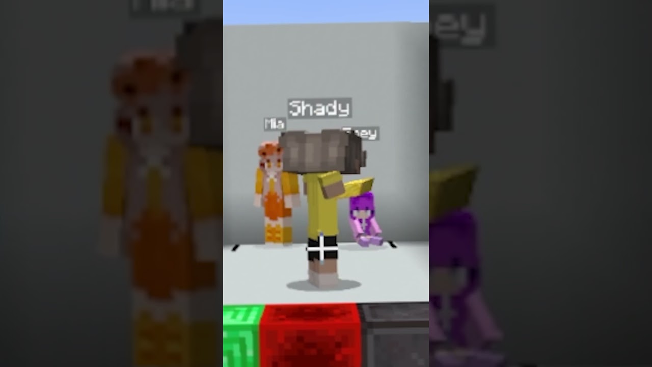 Minecraft Color Match! 2