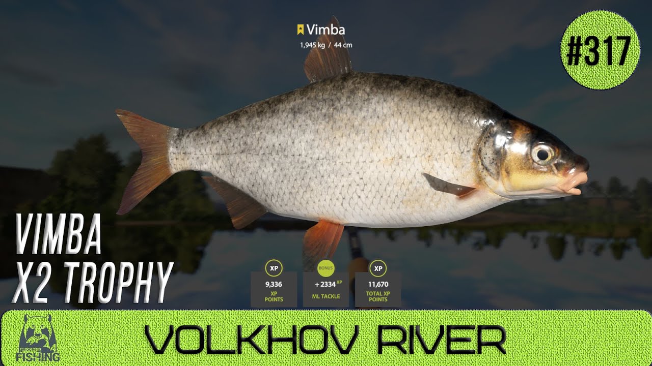Russian Fishing 4 - Volkhov River - x2 Vimba Trophy - #317