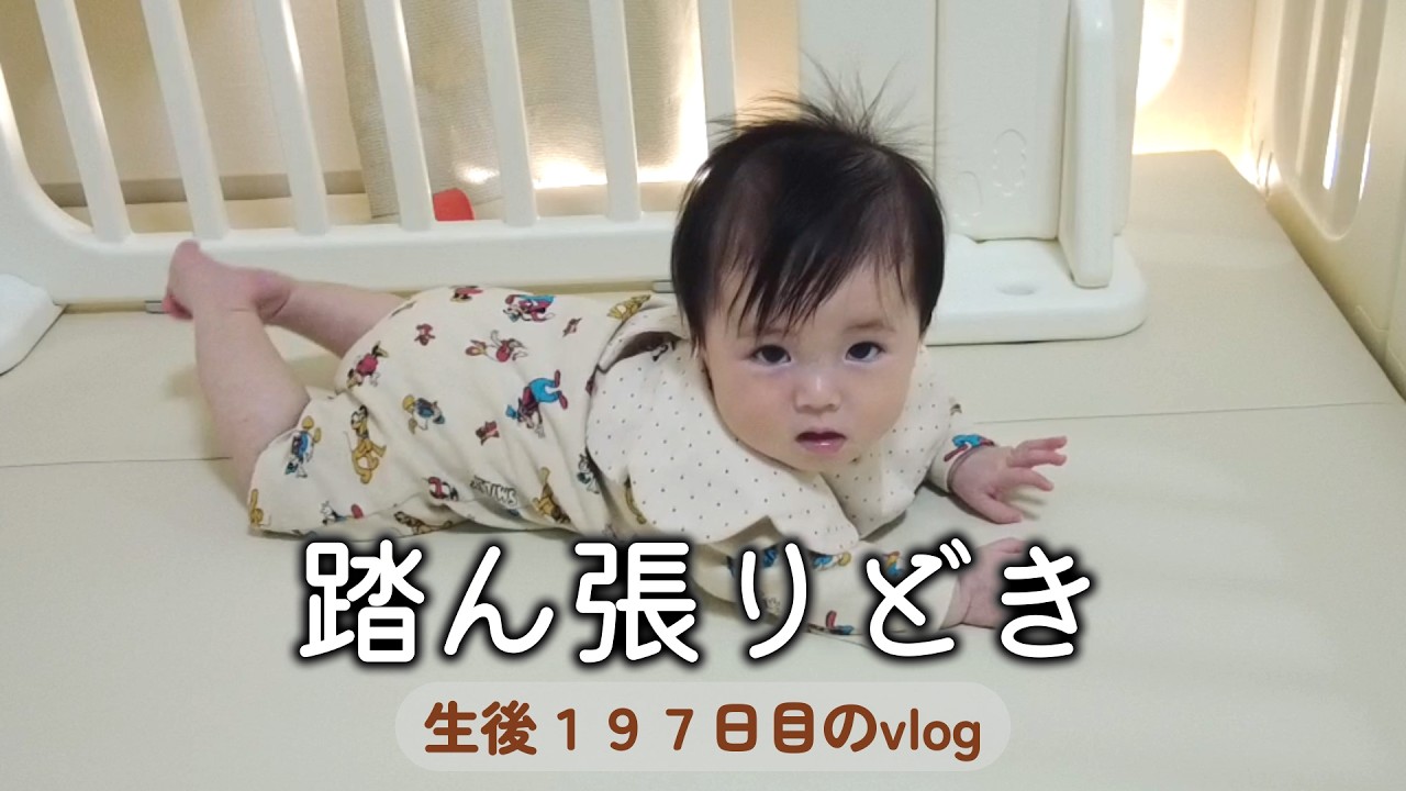 生後197日目 踏ん張りどき｜1LDK,里帰りなし,完母育児,生後6ヶ月,vlog