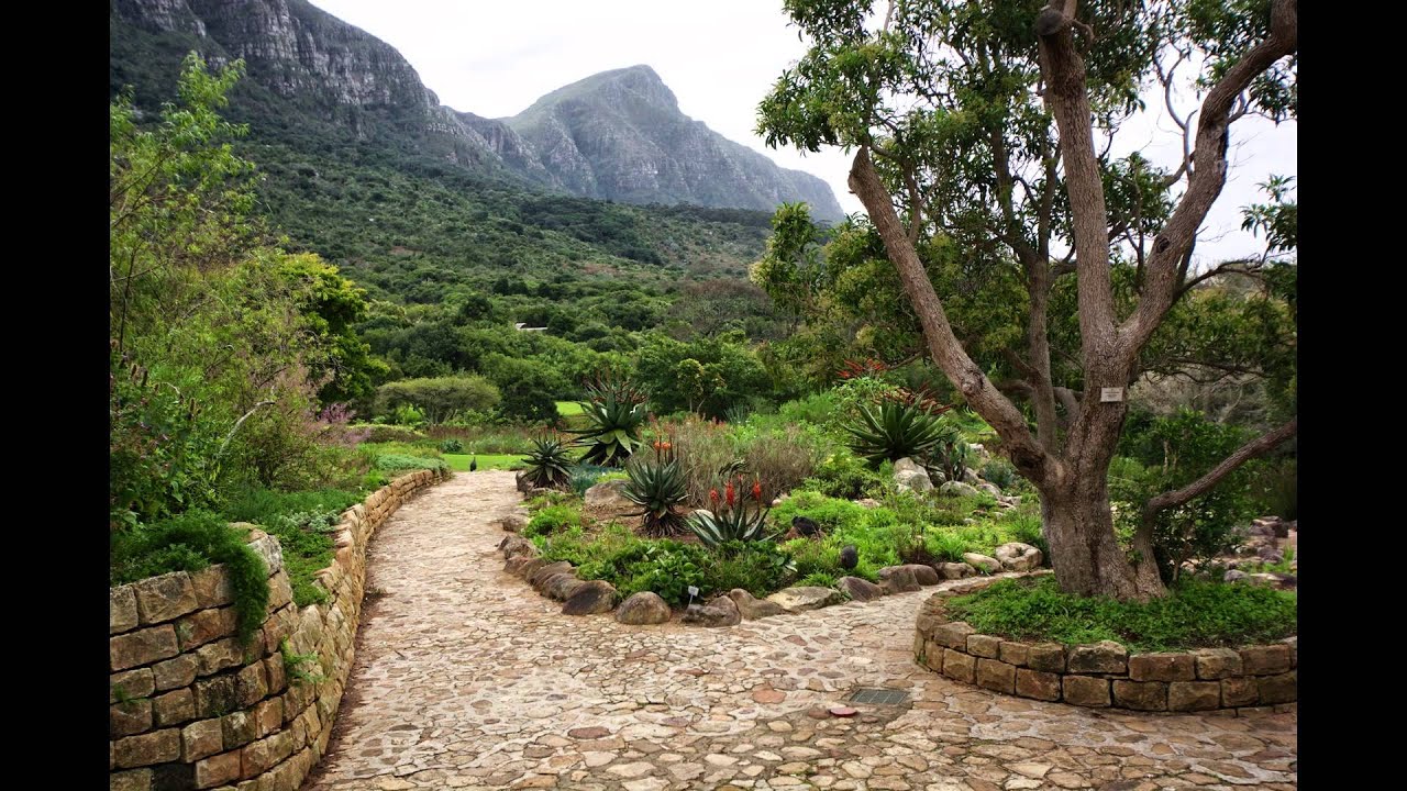 Cape Town, South Africa ~ July 2014