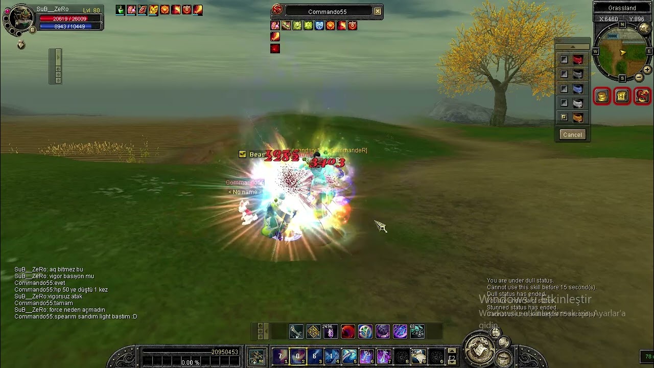 SİLKROAD 80 LVL DUAL PVP