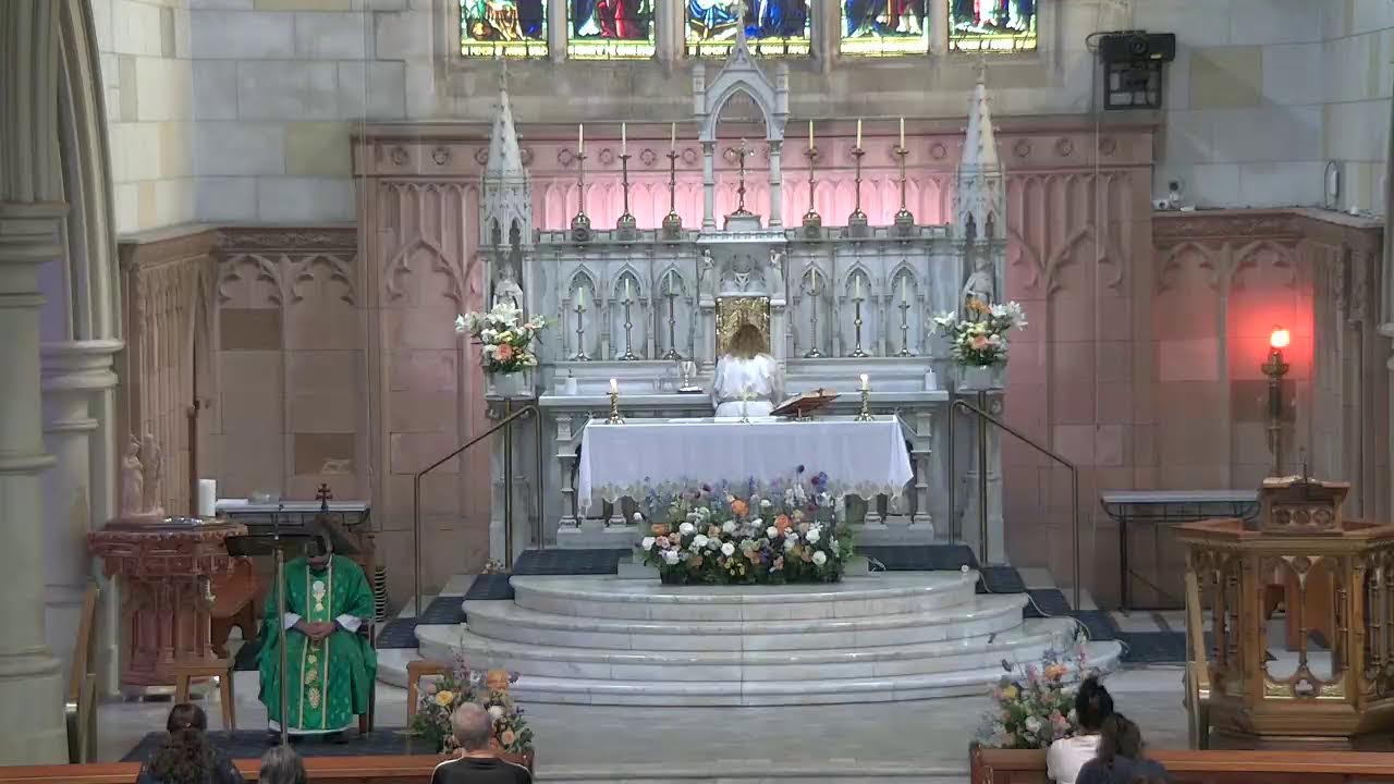 Live Mass at Our Lady of the Sacred Heart Parish, Randwick