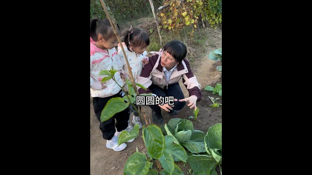 今天学长表姐带俩娃来我们菜园看菜、砍甘蔗。小朋友没有见过蔬菜在地里生长的样子，看到什么都充满了好奇与疑问。 学长表姐耐心的给俩娃介绍每一样蔬菜的生长过程。 让小朋友学到课堂以外不一样的知识#真实记录