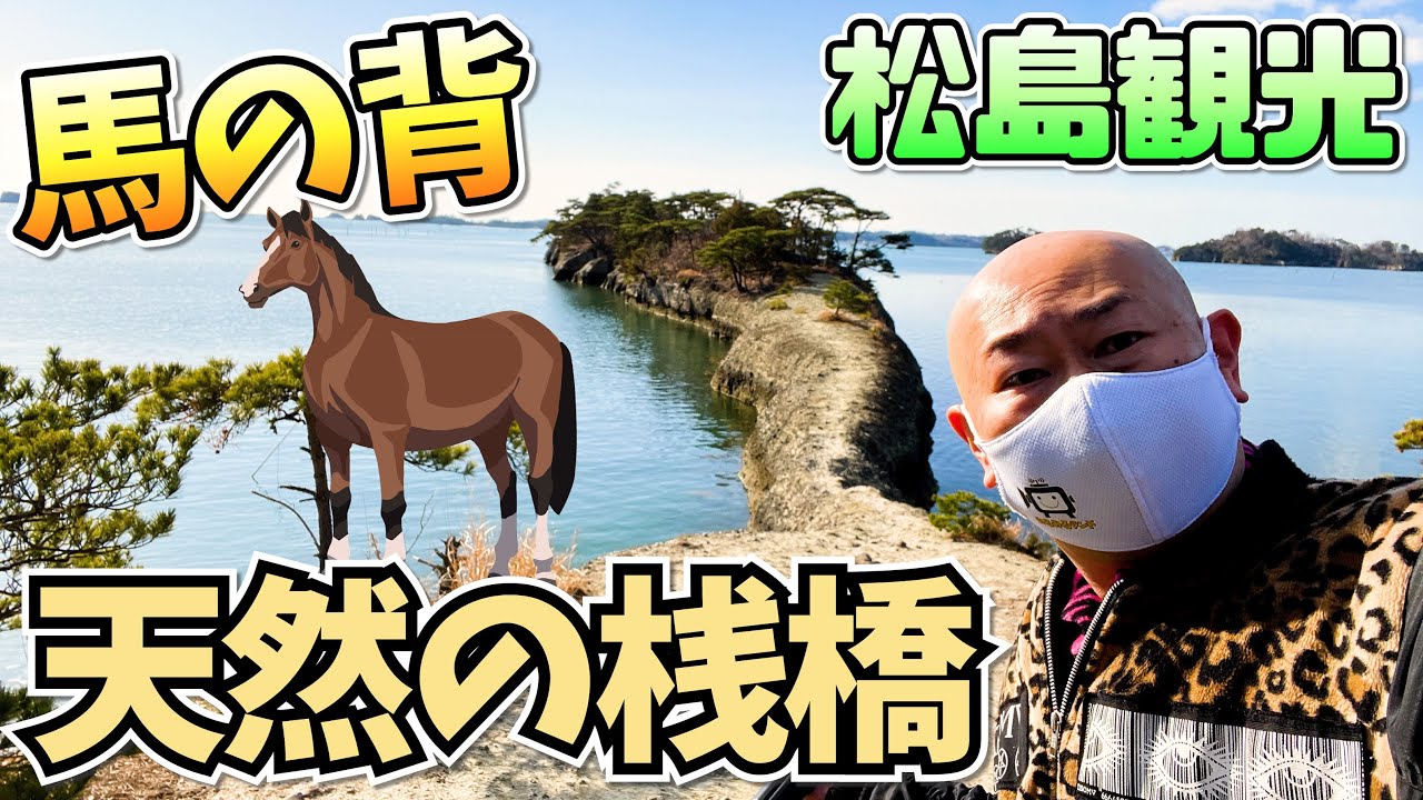 松島湾に突き出した天然の桟橋【馬の背】と【子馬】を観光