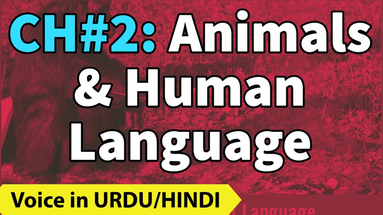Animals and Human Language | Chapter 2 | The Study of Language | [ URDU/HINDI ]
