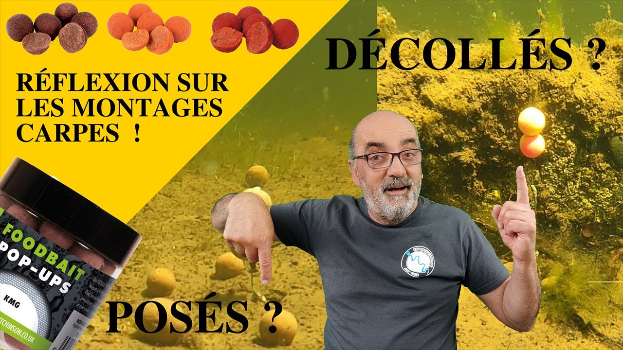 Montages carpe : Posés ou décollés ?