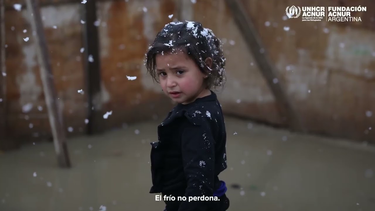Manifiesto - Invierno lejos de casa
