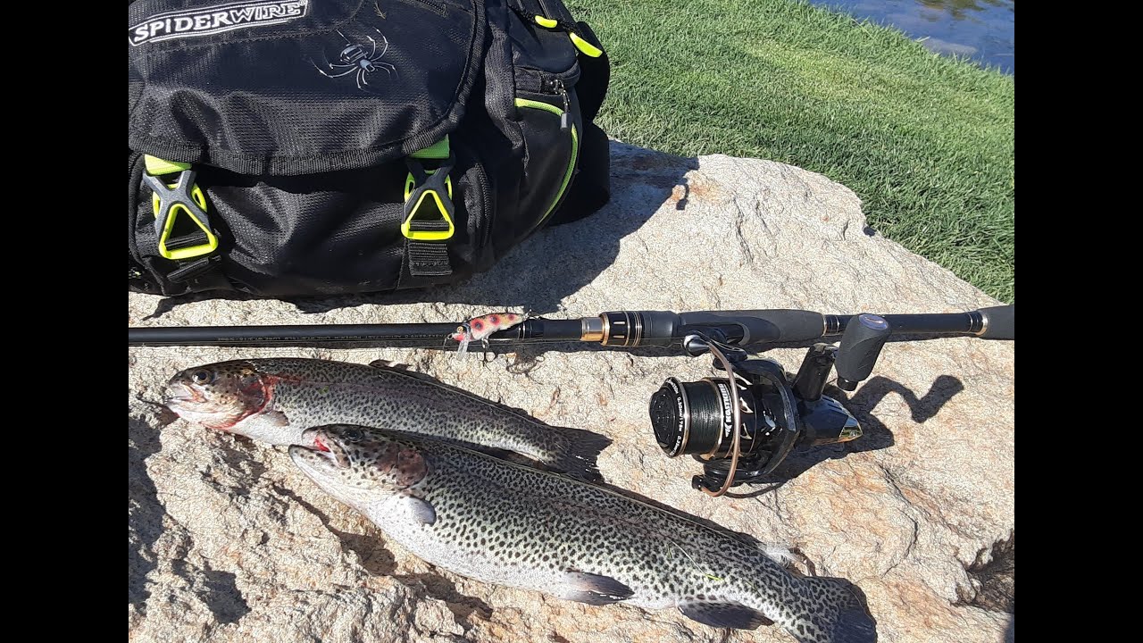 Jerk bait build to catch & cook