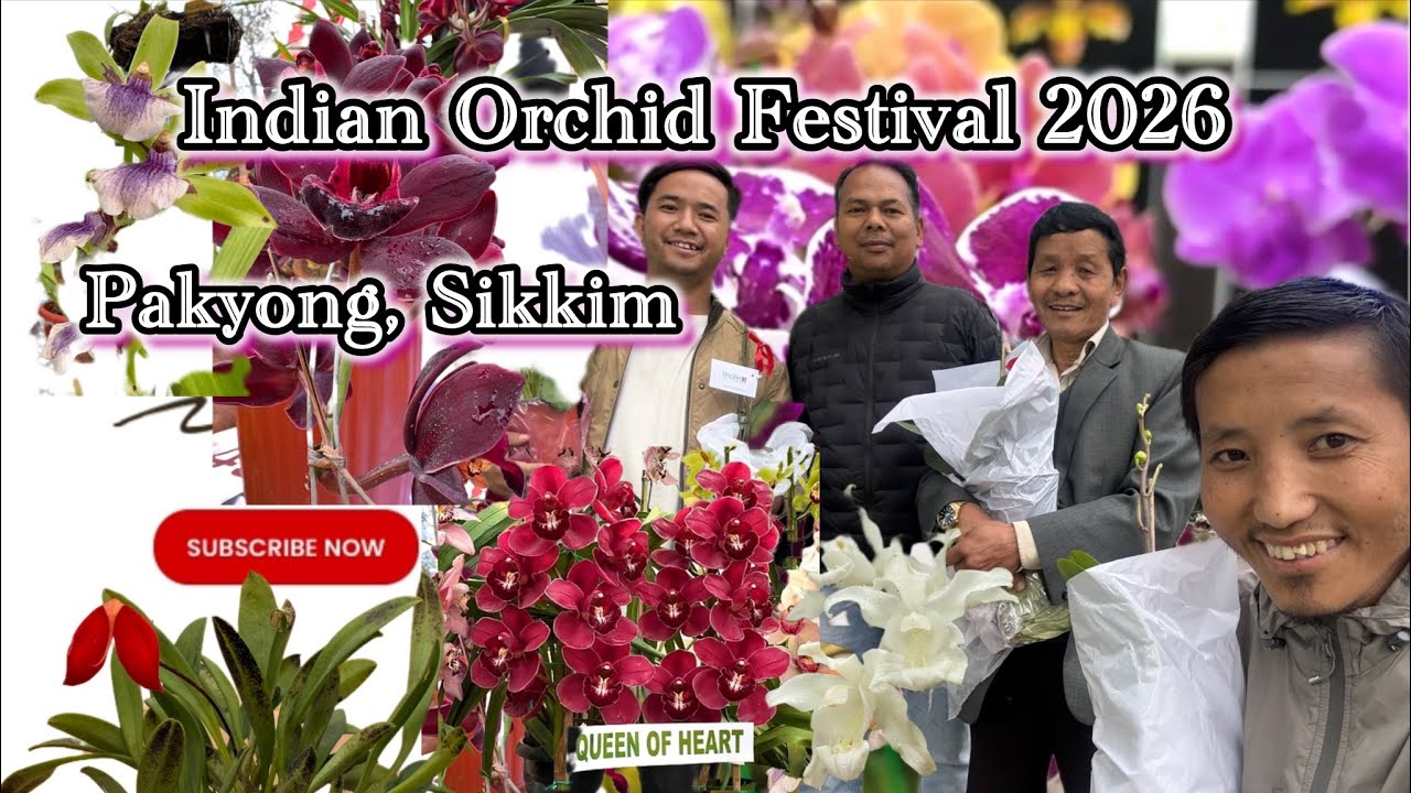 Exploring the World of Orchids (Indian Orchids Festival 2026) Sikkim #orchidsofSikkim