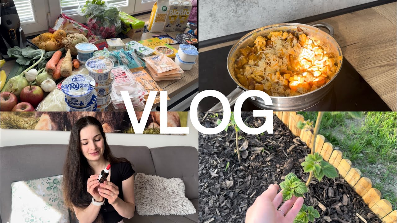 VLOG - recepty / Bachovy esence / zdravý nákup z Rohlíku