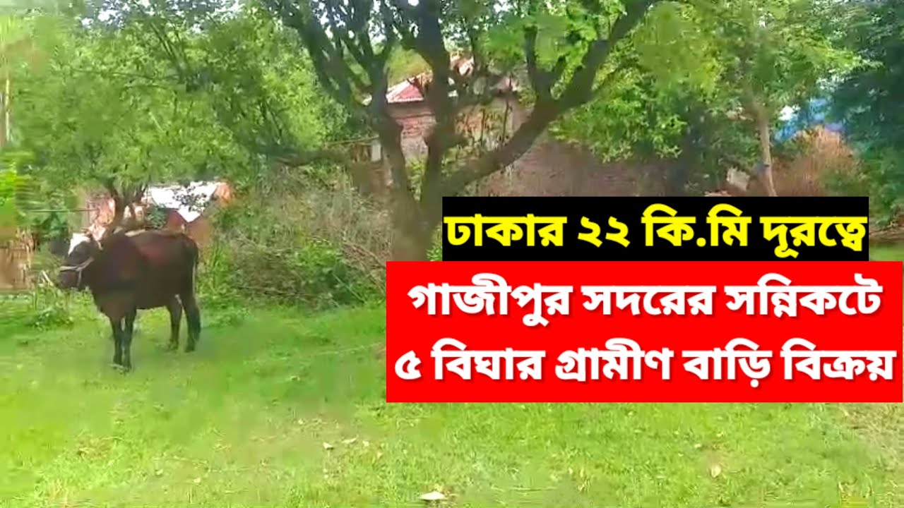 ৫ বিঘা গ্রামীণ বাড়ি বিক্রয় গাজীপুর সদর | village house land sale Gazipur Bangladesh