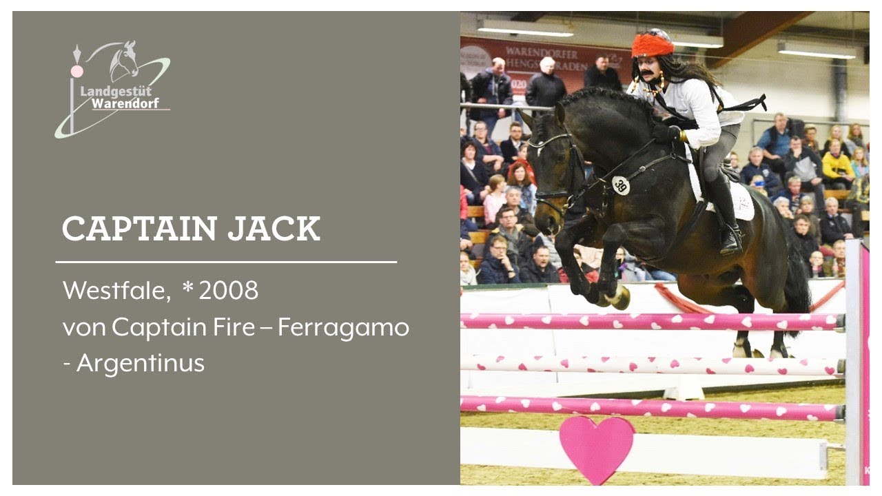 Captain Jack bei der Hengstschau 2020 MS Handorf