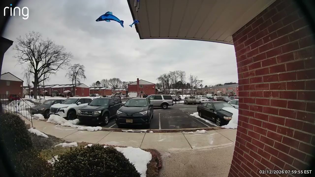 Lindewold. NJ Students Flee ICE State Domestic Terrrorist Operators 2/13