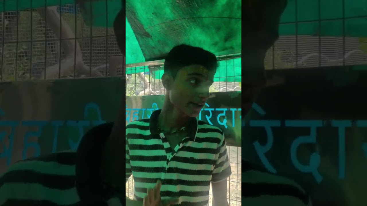 Exploring Vrindavan: Nidhivan Vlog with Saheb