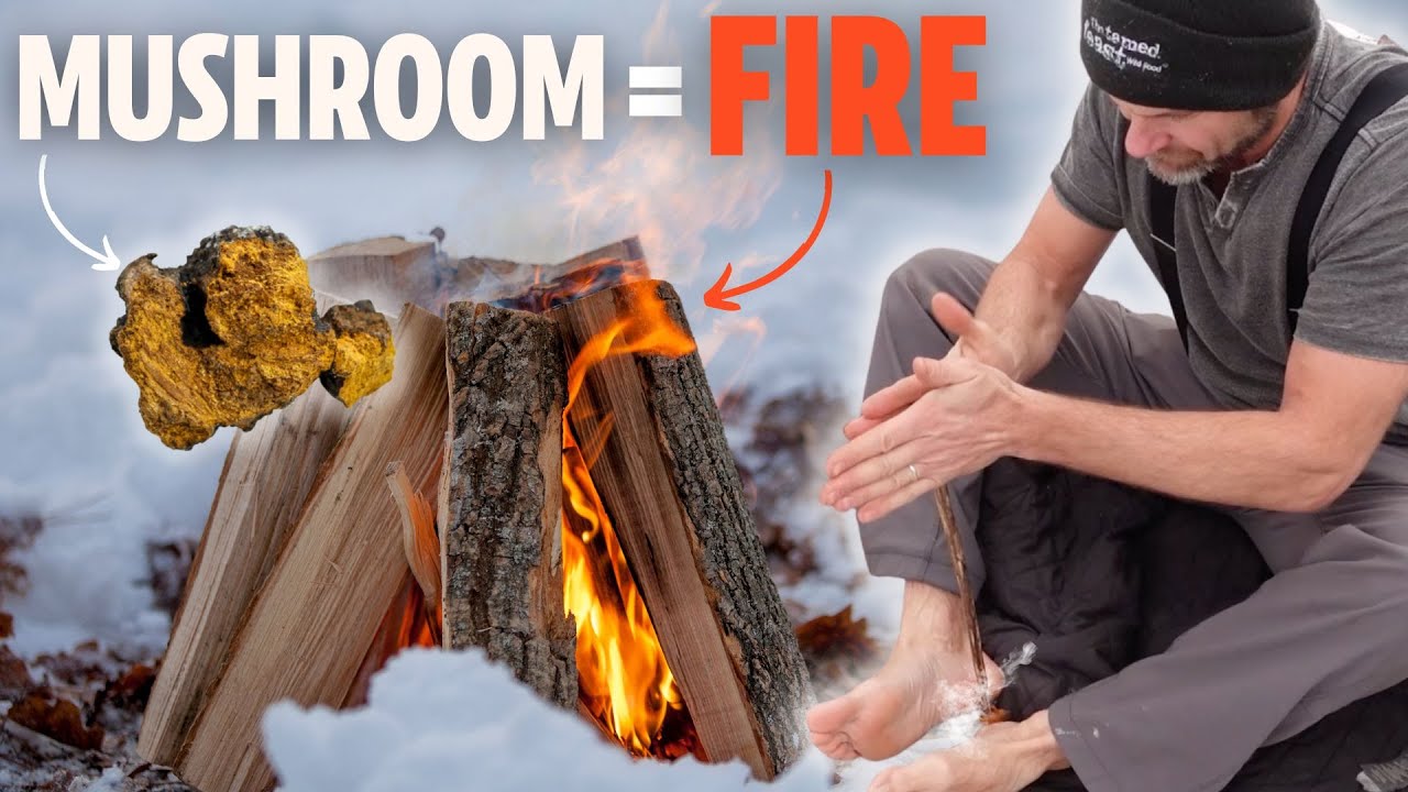 Starting A Fire Using Chaga Mushroom (Looks Easy, It's Not!)