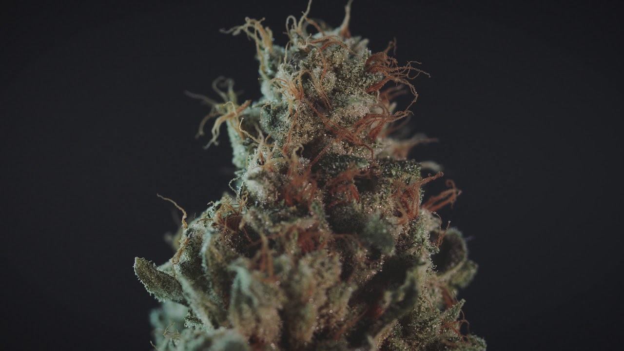 stylized marijuana bud spinning close up ZRNPK4A