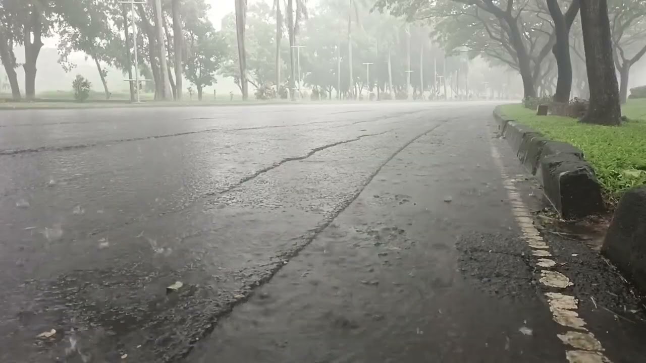 Calming Rainstorm Ambience for Relaxing & Deep Sleep | White Noise | 3 Hour Video