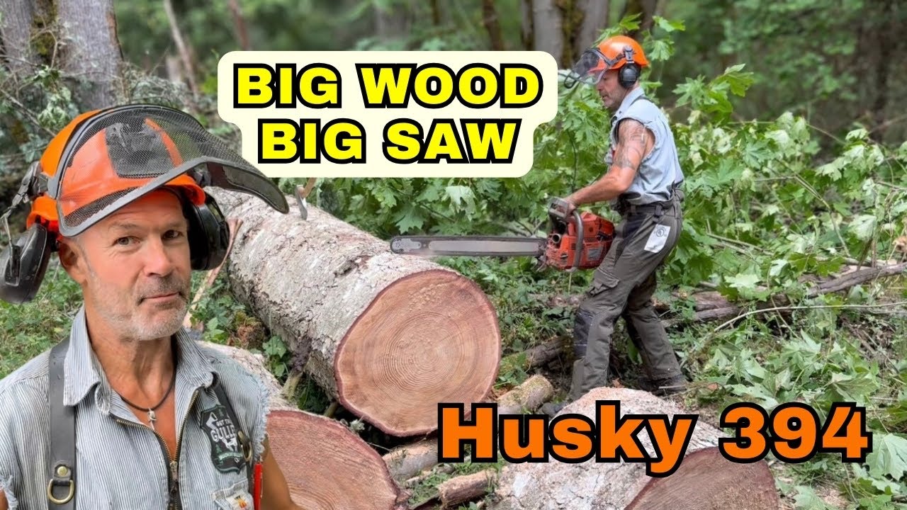 I’m Calling In The Reinforcements 