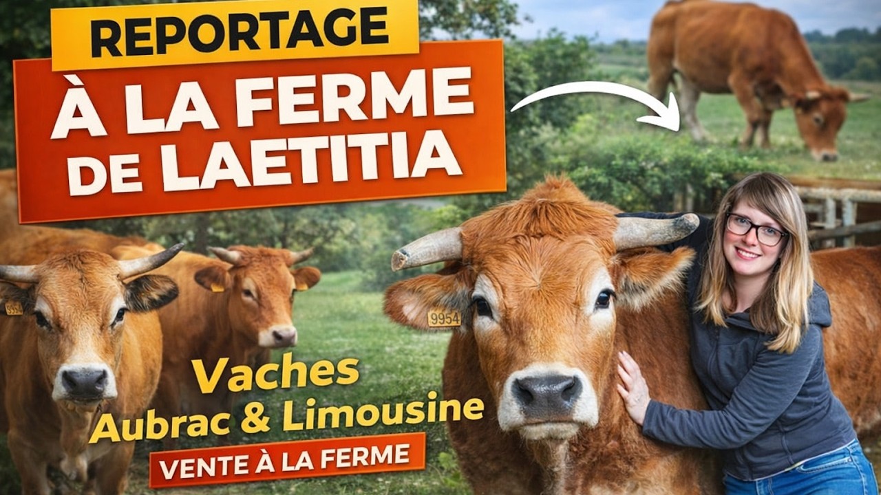 Petite ferme, grande passion : le témoignage de Laetitia