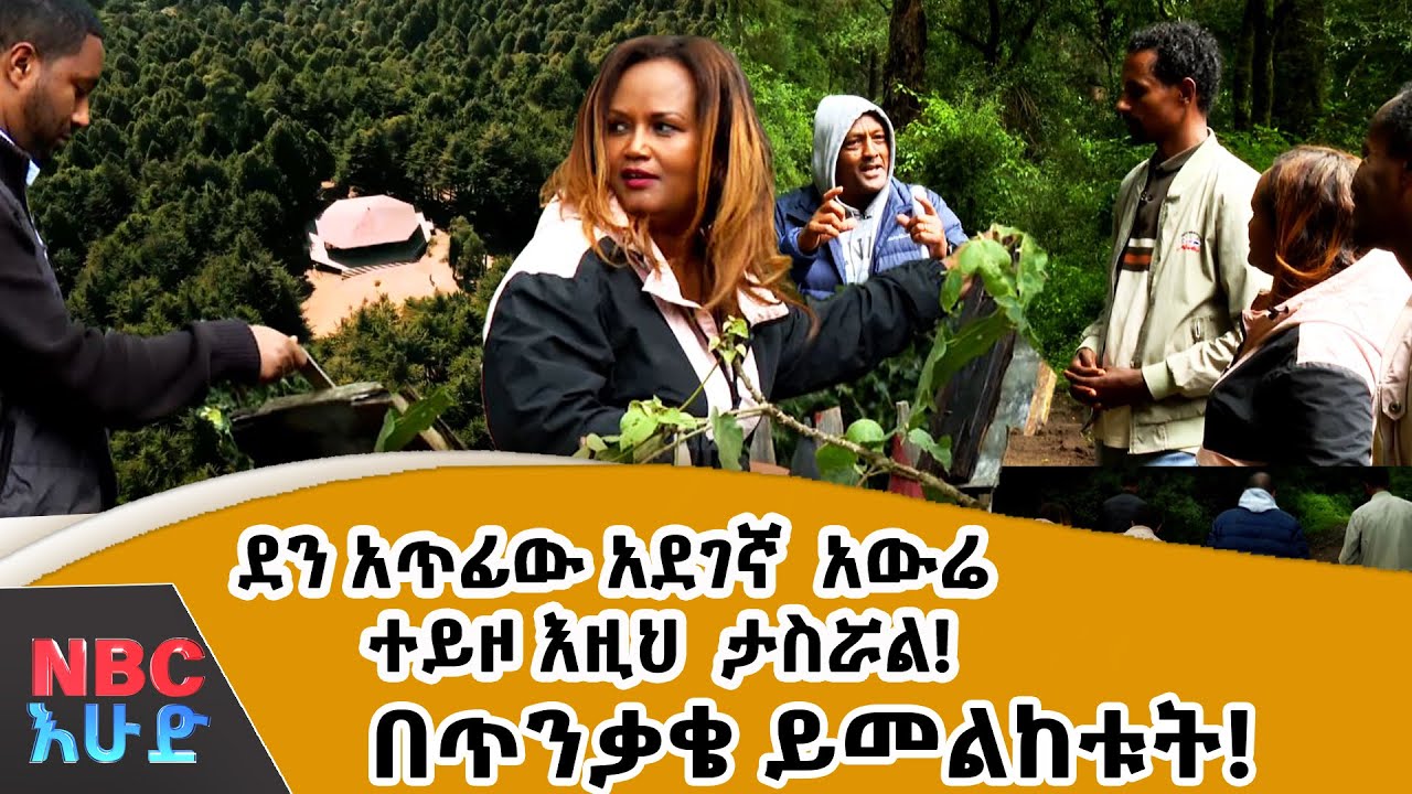 ደን አጥፊው አደገኛ  አውሬ  እዚህ  ታስሯል! በጥንቃቄ ይመልከቱት!  በNBC እሁድ @NBCETHIOPIA