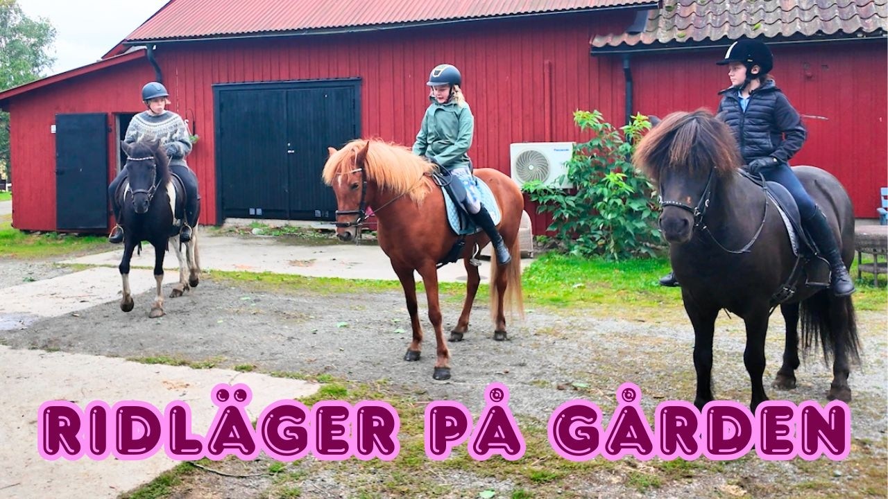 STALLVLOGG: Gården förvandlas till ridläger 🐴🔥