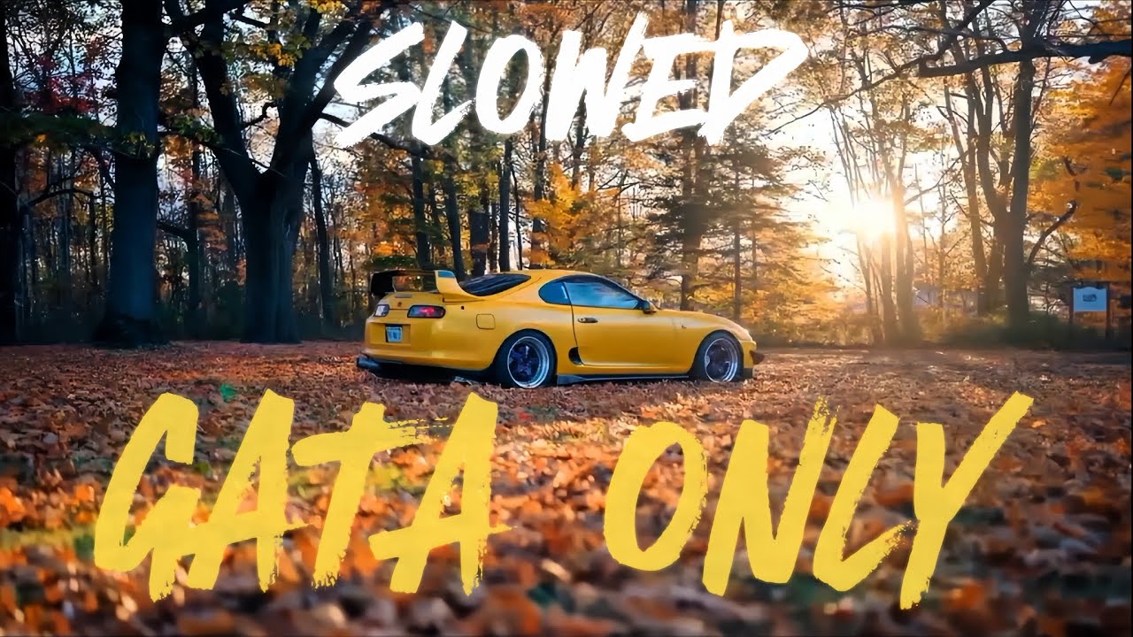 GATA ONLY SLOWED | Car EDIT || LOFI | part 1 |