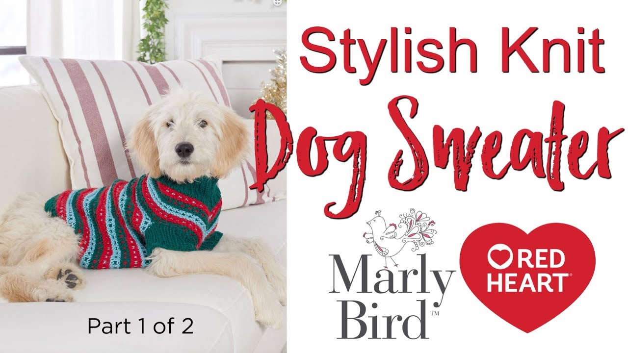 DIY Stylish Knit Dog Sweater for Extra Small, Small, Medium and Large Dogs Part 1 of 2