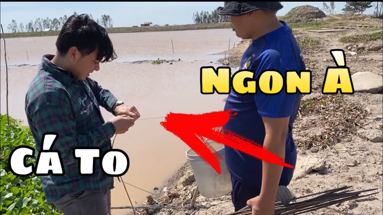 Vài Con Cá Cho Lần Đầu Thử Thách 24h Sinh Tồn