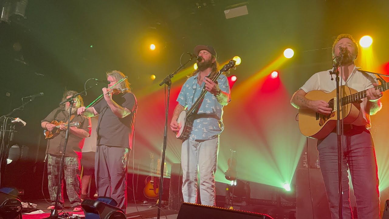 Trampled by turtles live in Hawaii(4k)