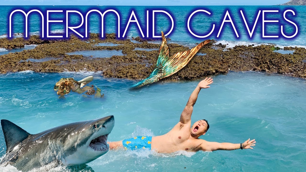 H&K Hawaii Mermaid Caves And North Shore Adventures