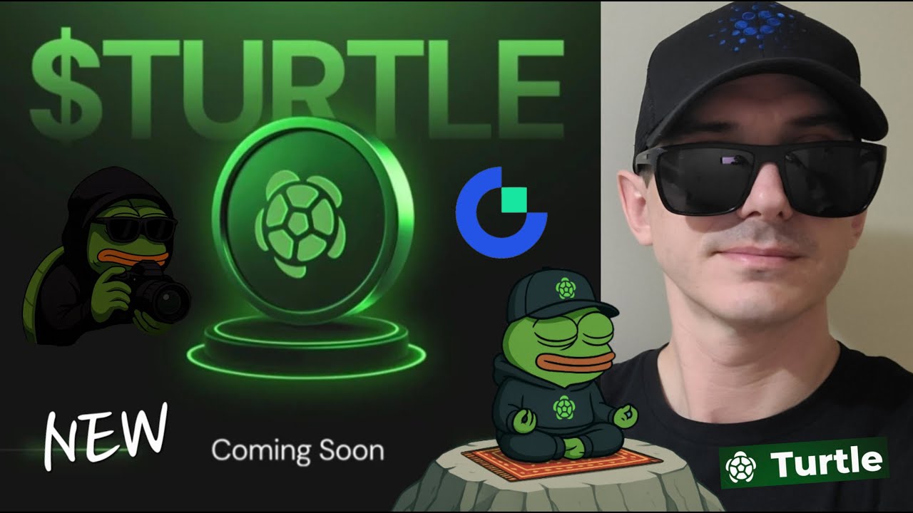 $TURTLE - TURTLE TOKEN CRYPTO COIN HOW TO BUY GATE BLOCKCHAIN BINANCE WALLET TGE ETH AVAX BNB NEW