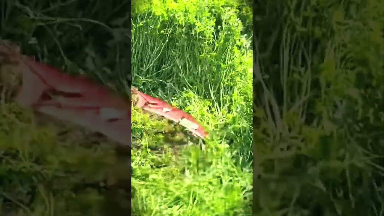 A long, sharp sickle to make cutting grass easier 