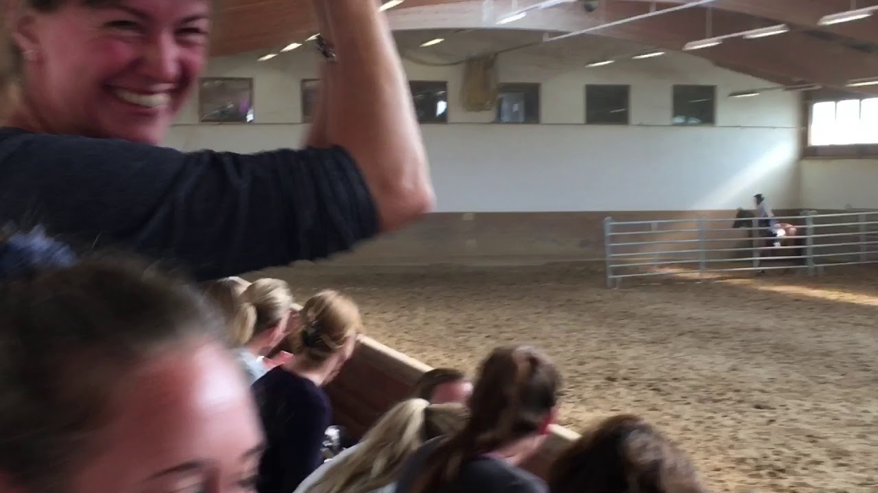 Erstes Working Equitation Turnier / DM Thierhaupten 2018