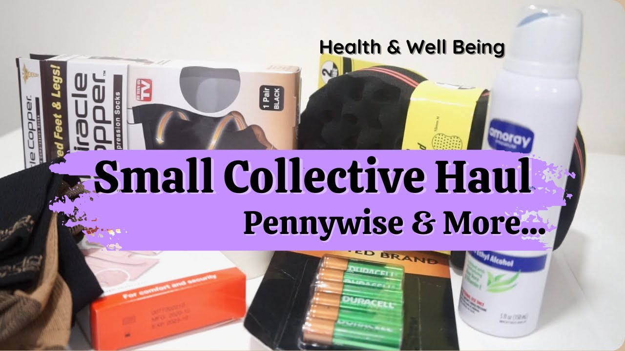 Mini Collective Haul:  Pennywise & More | Trinidad Youtuber