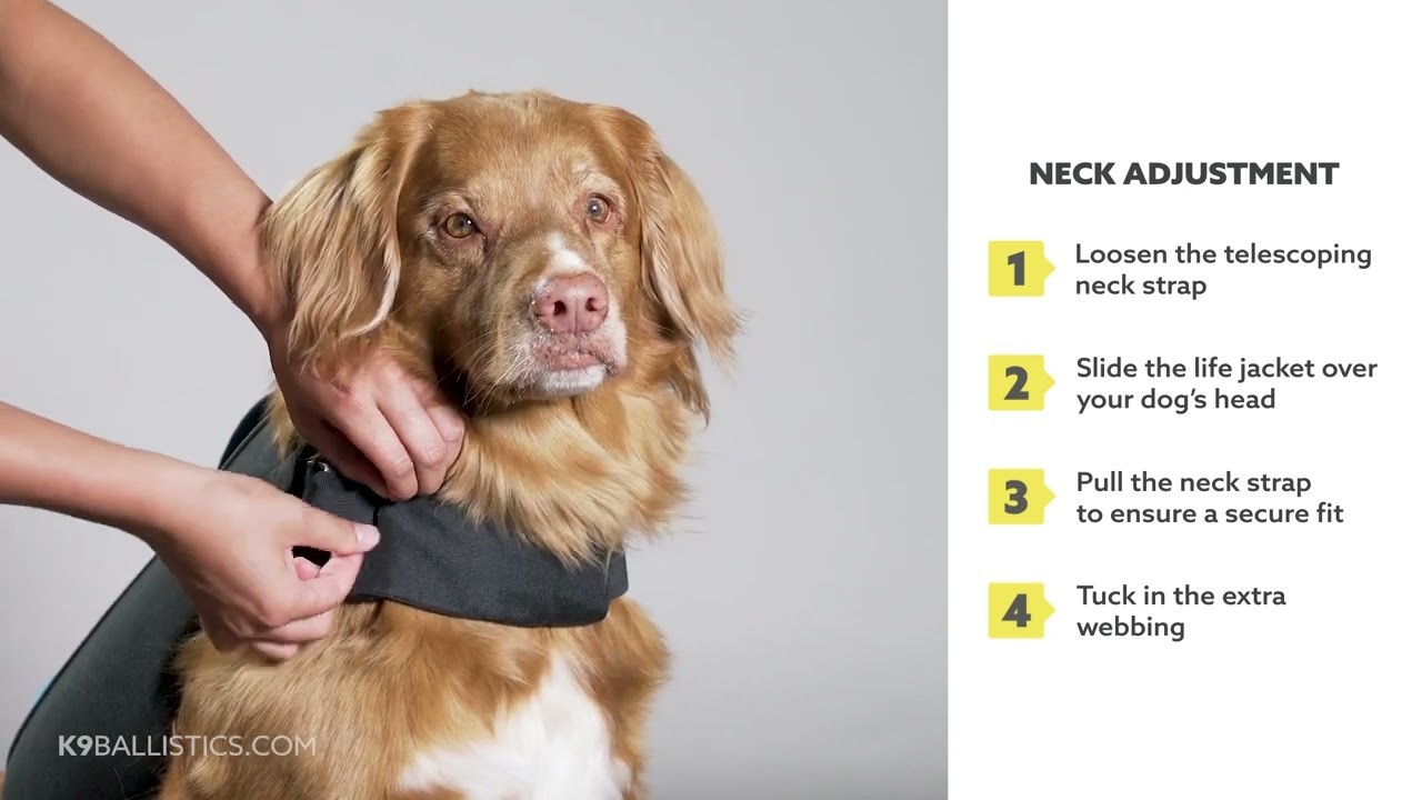 K9 Adventure&trade; Dog Life Jacket Fit Adjustment | K9 Ballistics