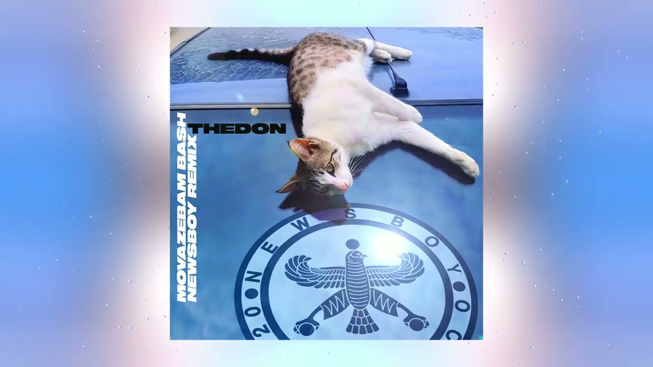 The don - Movazebam bash (Newsboy remix)