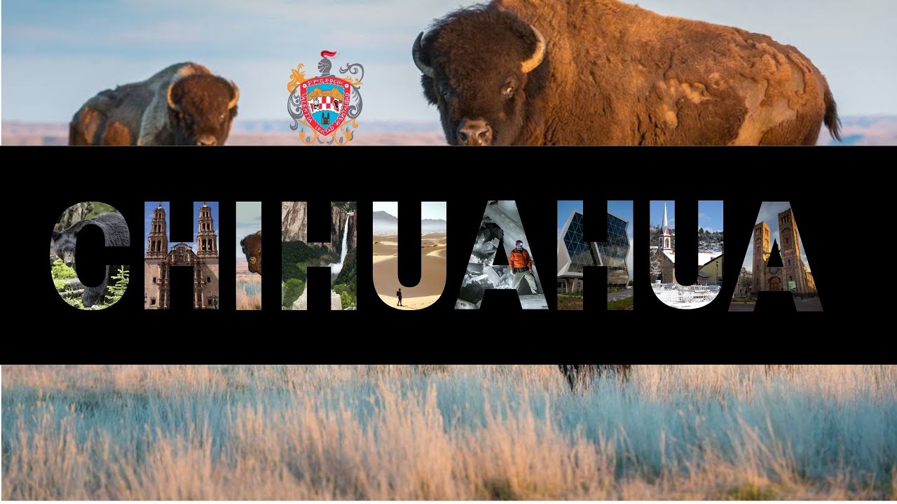 Chihuahua | El estado con mayor extensión territorial de México.