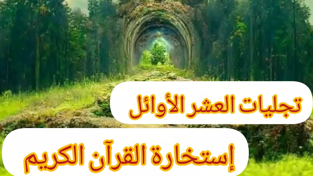 إستخارة القرآن الكريم 📖للزوهريين 💯بطاقتك أو حرفك👈🏻ل و ز ر د ط ن ت أ ب ي س غ  ش ج ص  ع ف ق ح خ ه ج ⚔️