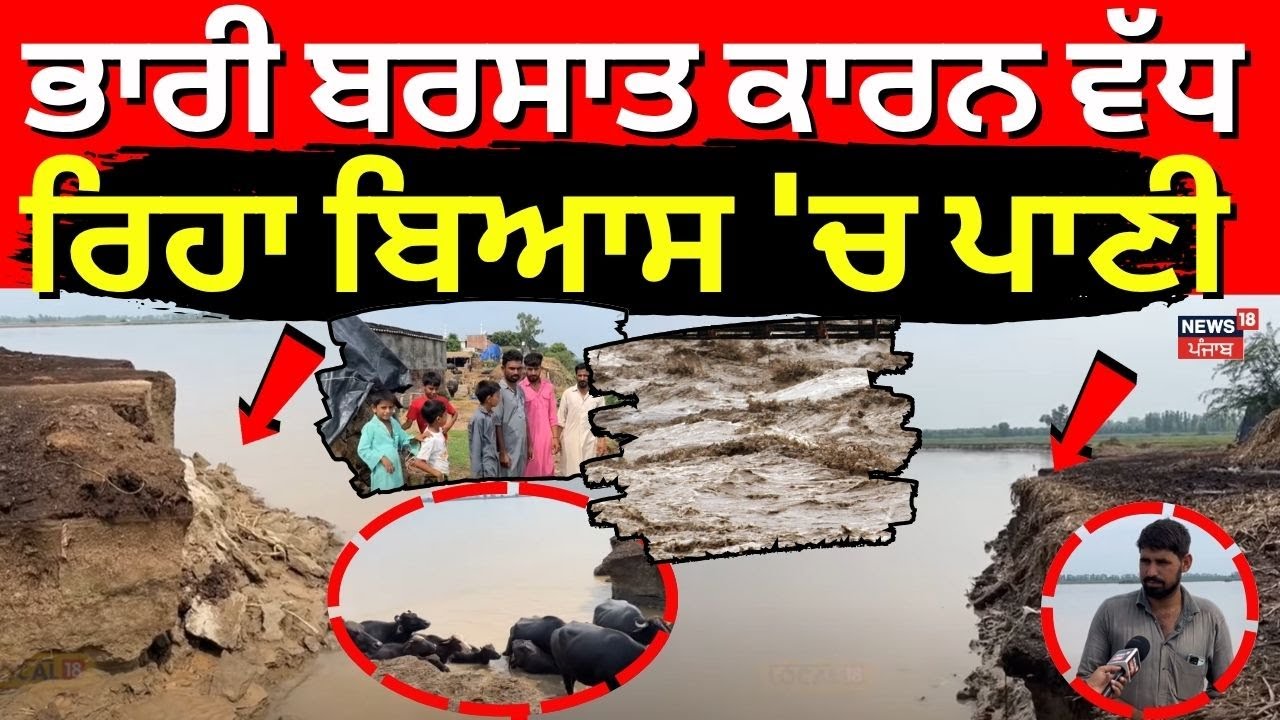 Beas Water Level | ਭਾਰੀ ਬਰਸਾਤ ਕਾਰਨ ਵੱਧ ਰਿਹਾ ਬਿਆਸ 'ਚ ਪਾਣੀ | Heavy Rain | #local18