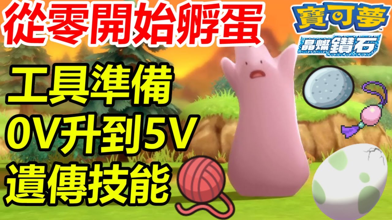 【寶可夢 晶燦鑽石／明亮珍珠】從零開始孵蛋！孵出第一隻5V圓陸鯊！