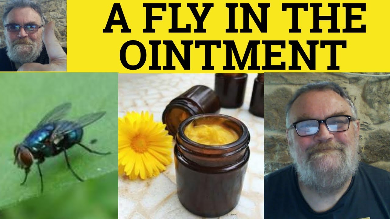 🔵 Fly in the Ointment Meaning - Fly In The ointment Examples - Fly In The Ointment Definition Idioms