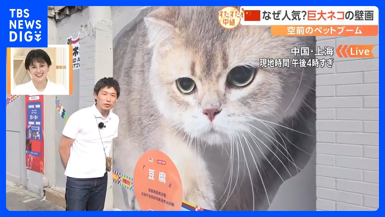 上海・旧市街に「巨大猫の壁画」が出現！人気のない再開発地域が一躍人気スポットに【すたすた中継】｜TBS NEWS DIG